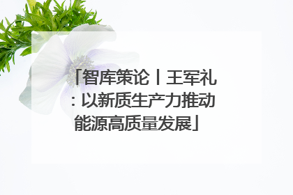 智库策论丨王军礼：以新质生产力推动能源高质量发展