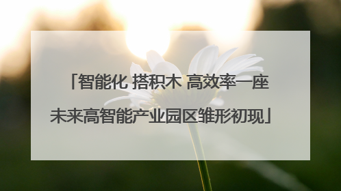智能化 搭积木 高效率一座未来高智能产业园区雏形初现