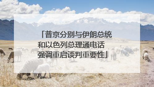 普京分别与伊朗总统和以色列总理通电话 强调重启谈判重要性