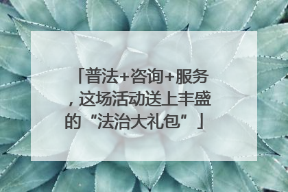 普法+咨询+服务，这场活动送上丰盛的“法治大礼包”