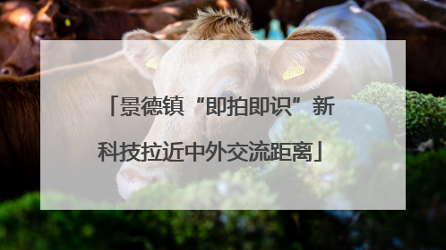 景德镇“即拍即识”新科技拉近中外交流距离