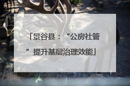 景谷县：“公房社管”提升基层治理效能