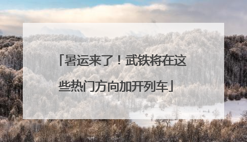 暑运来了！武铁将在这些热门方向加开列车