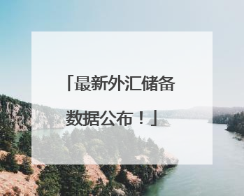 最新外汇储备数据公布！