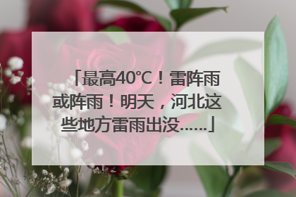 最高40℃！雷阵雨或阵雨！明天，河北这些地方雷雨出没……