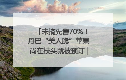 未摘先售70%！丹巴“美人脆”苹果尚在枝头就被预订｜长征路上看四川