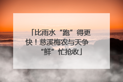 比雨水“跑”得更快！慈溪梅农与天争“鲜”忙抢收