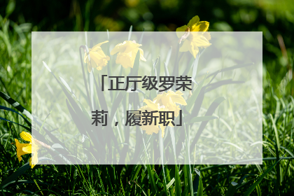正厅级罗荣莉，履新职