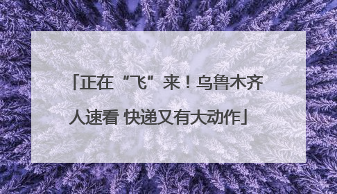 正在“飞”来！乌鲁木齐人速看 快递又有大动作