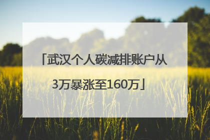 武汉个人碳减排账户从3万暴涨至160万