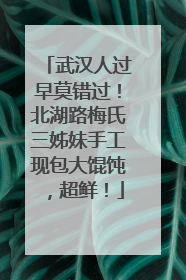 武汉人过早莫错过！北湖路梅氏三姊妹手工现包大馄饨，超鲜！