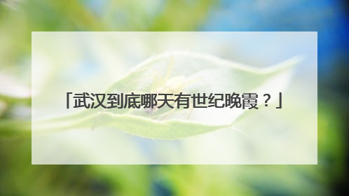 武汉到底哪天有世纪晚霞？