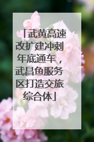武黄高速改扩建冲刺年底通车，武昌鱼服务区打造交旅综合体