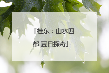 桂东：山水四都 夏日探奇
