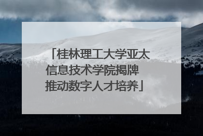 桂林理工大学亚太信息技术学院揭牌 推动数字人才培养