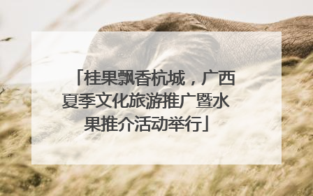 桂果飘香杭城，广西夏季文化旅游推广暨水果推介活动举行