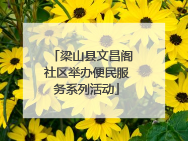 梁山县文昌阁社区举办便民服务系列活动