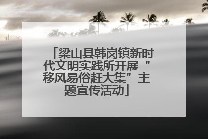 梁山县韩岗镇新时代文明实践所开展“移风易俗赶大集”主题宣传活动
