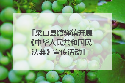 梁山县馆驿镇开展《中华人民共和国民法典》宣传活动