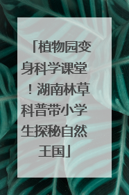 植物园变身科学课堂！湖南林草科普带小学生探秘自然王国