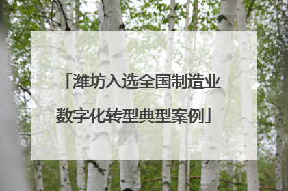 潍坊入选全国制造业数字化转型典型案例