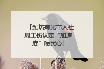 潍坊寿光市人社局工伤认定“加速度”暖民心