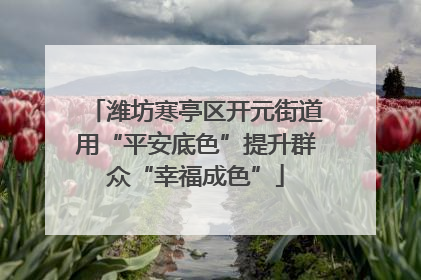 潍坊寒亭区开元街道用“平安底色”提升群众“幸福成色”