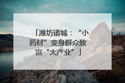 潍坊诸城：“小药材”变身群众致富“大产业”