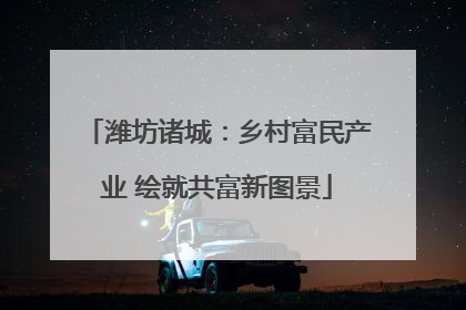 潍坊诸城：乡村富民产业 绘就共富新图景