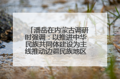 潘岳在内蒙古调研时强调：以推进中华民族共同体建设为主线推动边疆民族地区高质量发展
