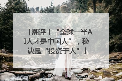 潮评丨“全球一半AI人才是中国人”，秘诀是“投资于人”