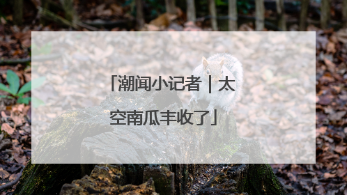 潮闻小记者｜太空南瓜丰收了