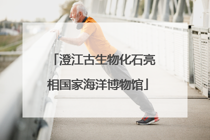 澄江古生物化石亮相国家海洋博物馆