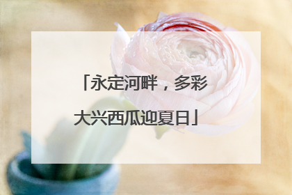 永定河畔，多彩大兴西瓜迎夏日