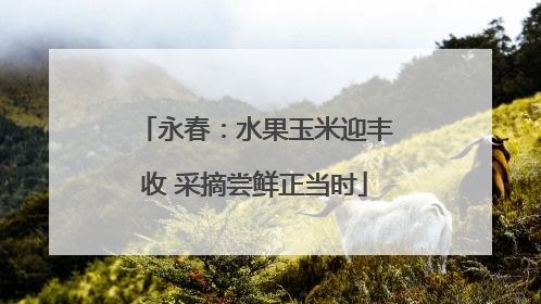 永春：水果玉米迎丰收 采摘尝鲜正当时