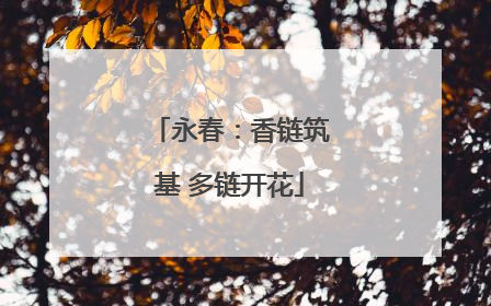 永春：香链筑基 多链开花