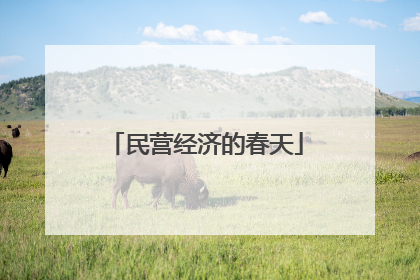 民营经济的春天