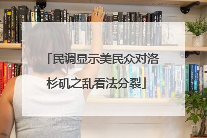 民调显示美民众对洛杉矶之乱看法分裂