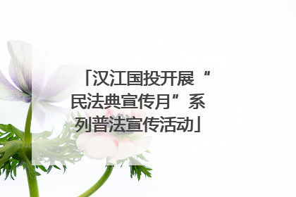 汉江国投开展“民法典宣传月”系列普法宣传活动