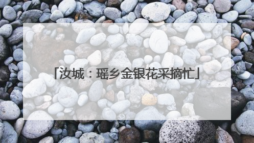 汝城：瑶乡金银花采摘忙