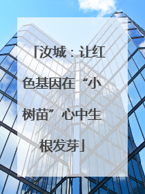 汝城：让红色基因在“小树苗”心中生根发芽