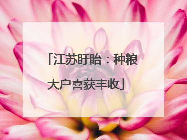江苏盱眙：种粮大户喜获丰收