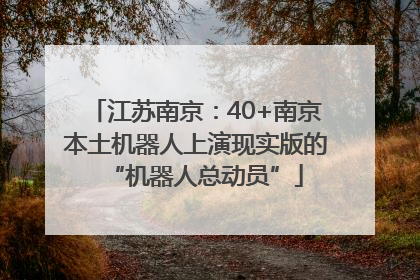 江苏南京：40+南京本土机器人上演现实版的“机器人总动员”