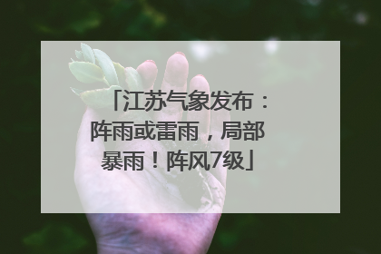 江苏气象发布：阵雨或雷雨，局部暴雨！阵风7级