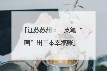 江苏苏州：一支笔“画”出三本幸福账