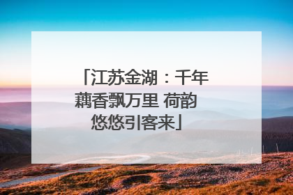 江苏金湖：千年藕香飘万里 荷韵悠悠引客来