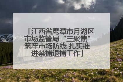 江西省鹰潭市月湖区市场监管局“三聚焦”筑牢市场防线 扎实推进禁捕退捕工作