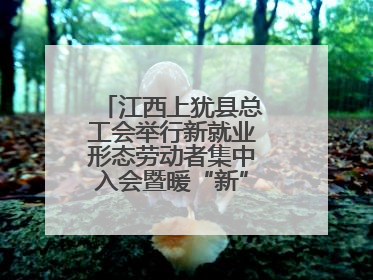 江西上犹县总工会举行新就业形态劳动者集中入会暨暖“新”礼包赠送活动
