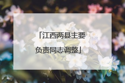 江西两县主要负责同志调整