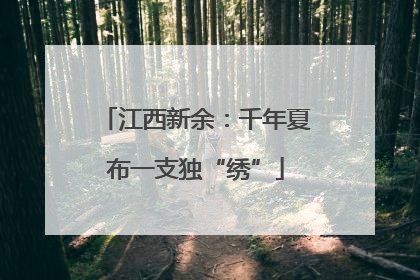 江西新余：千年夏布一支独“绣”